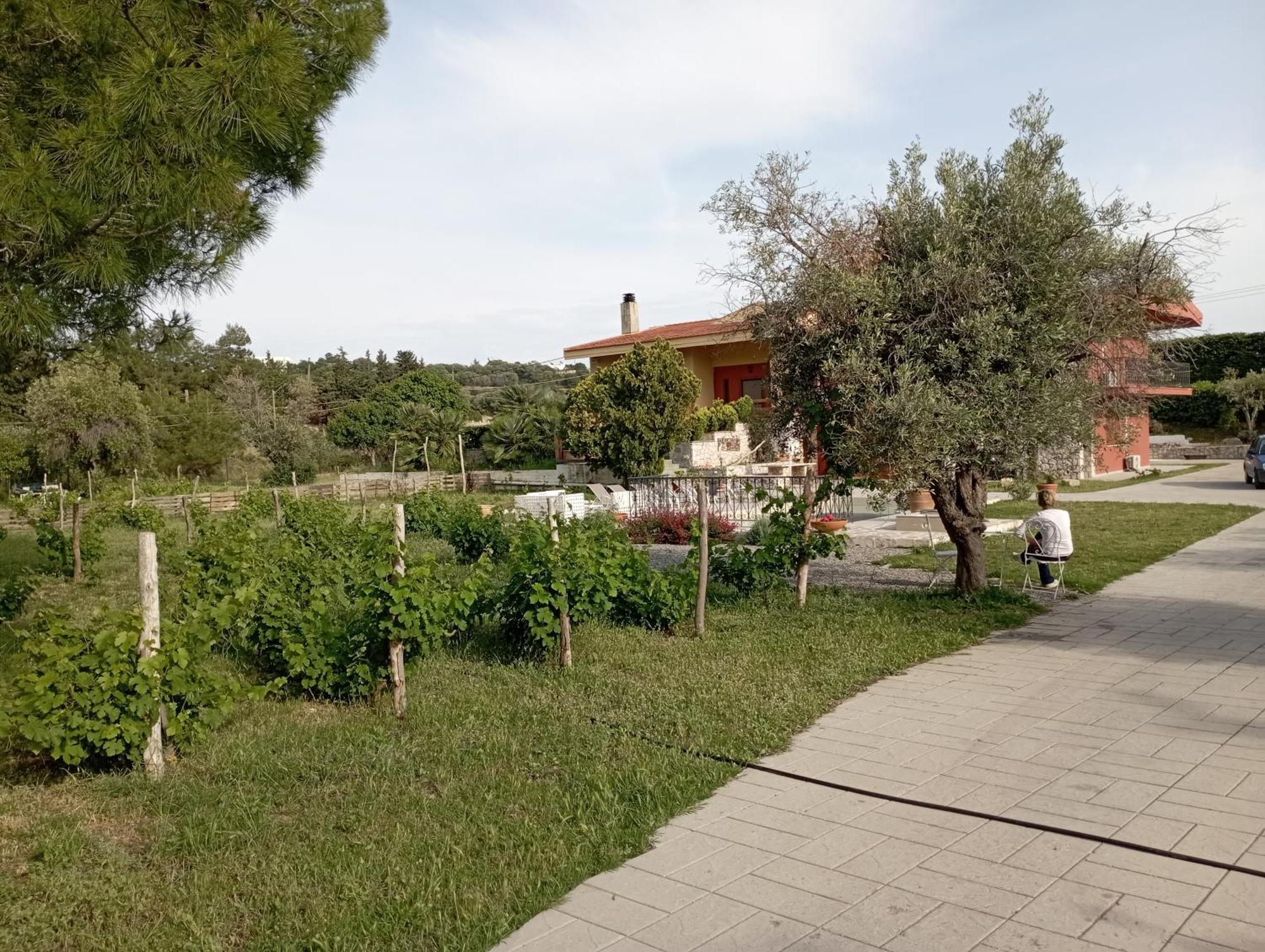 Emarmene Home With Private Pool Near Rhodes Town & Airport Koskinou  Eksteriør bilde